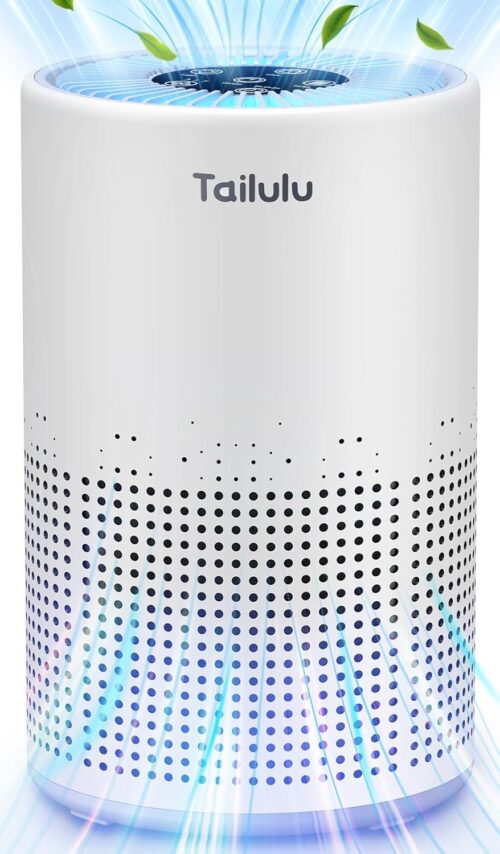 Air Purifiers for Bedroom Home Pets 800 Ft², Tailulu H13 True HEPA Air Filter Portable Air Purifier with 12dB Sleep Mode, Speed Control, Timer, Quiet Air Cleaner For Odor Dust Smoke Pollen AP050