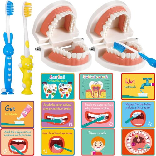 Skylety 2 Set Dentist Kit for Kids Dentist Play Set Dental Teeth Model with Toothbrush Child Dental Educational Card Standard Size Fake Brace Demonstration Teaching for Children Student(Simple Style)