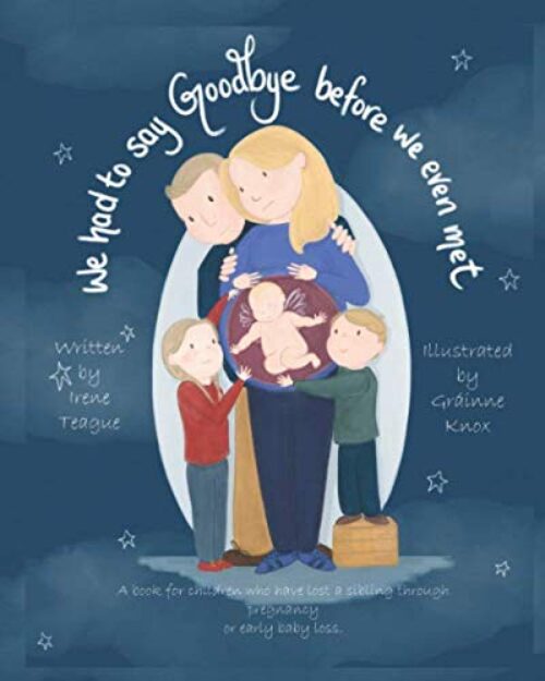 We Had To Say Goodbye Before We Even Met: A book for children who have lost a sibling through pregnancy or early baby loss.