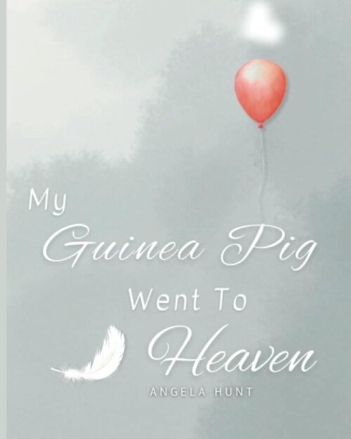 My Guinea Pig Went to Heaven: Helping Children Navigate the Stages of Grief Through Simple and Honest Language and Powerful Illustrations (My Pet Went to Heaven)